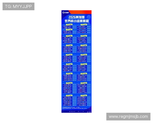 2026年世界杯48支球队名单全解析，了解每支球队的参赛背景与实力分析